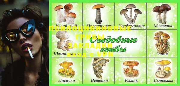 мет Осинники