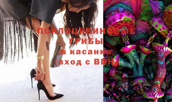 соль ск Осташков