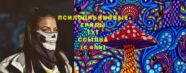 соль ск Осташков